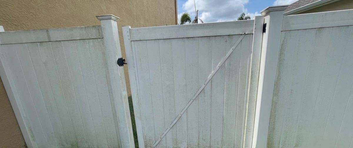 A vinyl privacy fence stained green with algae before cleaning