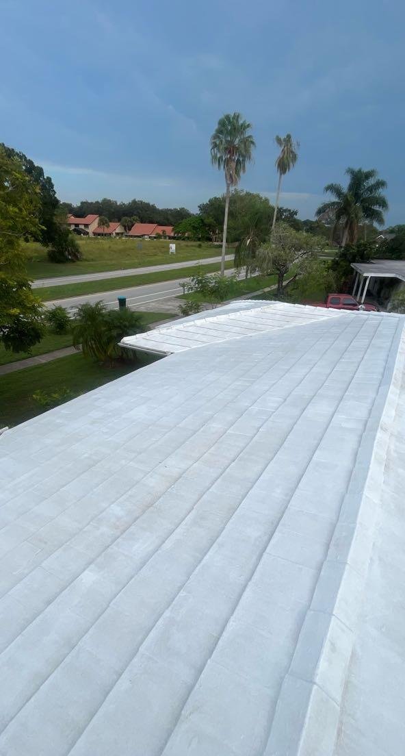 The same roof restored to a clean white finish after soft washing