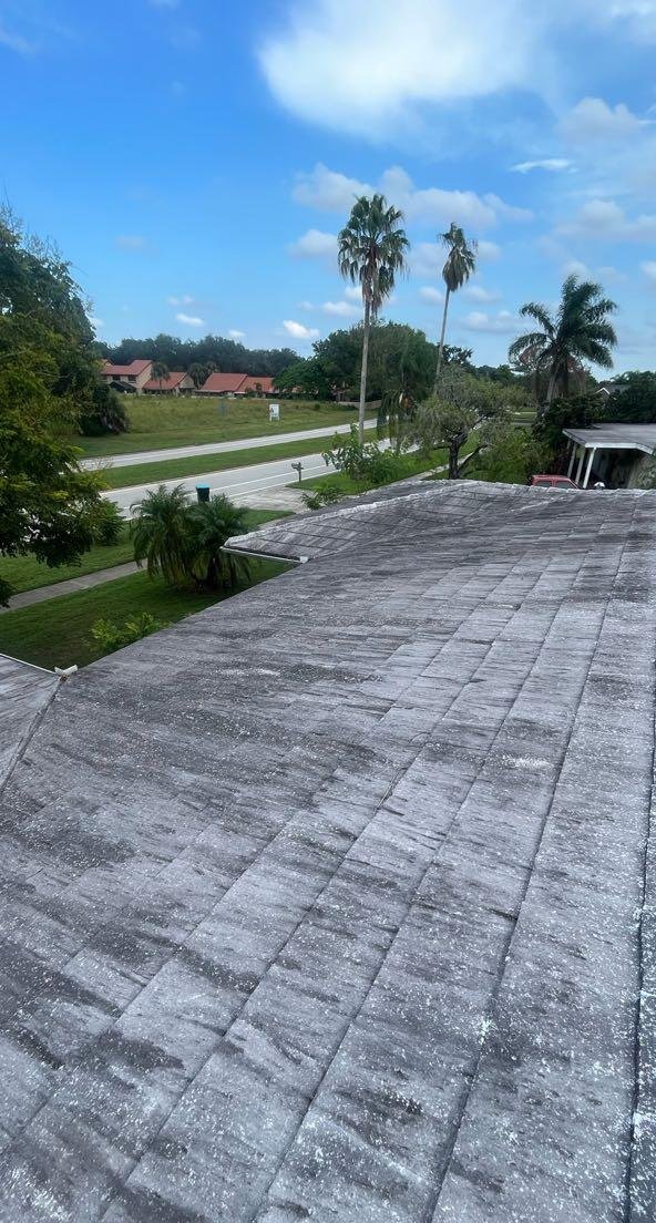 A flat roof black with algae and mildew before soft washing