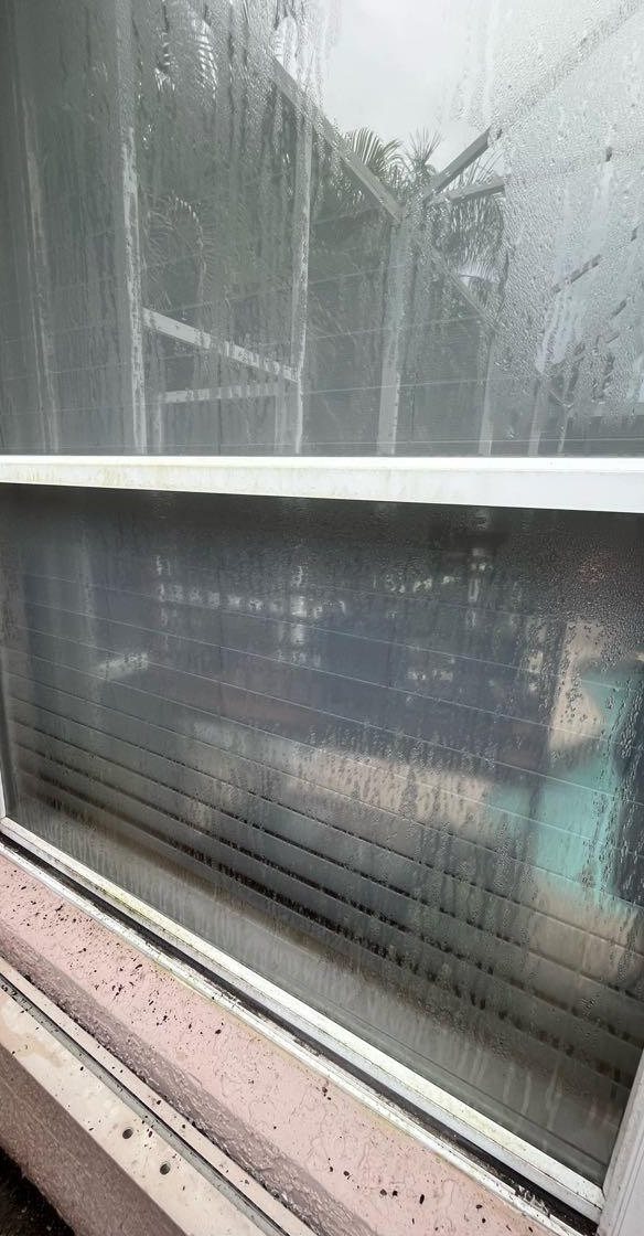 A pool screen enclosure and window hazy with grime before cleaning