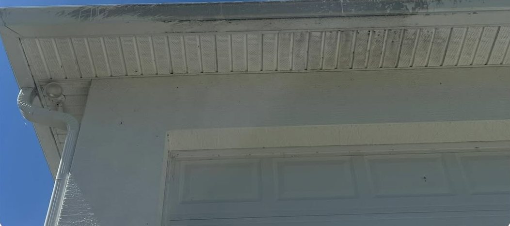 Soffit and fascia darkened with mildew before house washing